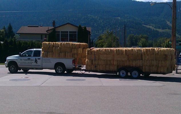 trc-timberworks-natural-building-straw-bale-load-0514